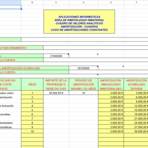 APLICACIONES INFORMÁTICAS ÁREA DE INMOVILIZADO INMATERIAL