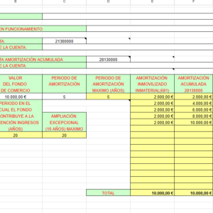 FONDO DE COMERCIO ÁREA DE INMOVILIZADO INMATERIAL