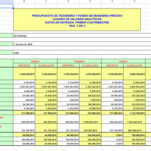 PRESUPUESTO DE TESORERÍA Y FONDO DE MANIOBRA PRECISO