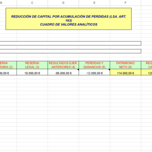 REDUCCIÓN DE CAPITAL POR ACUMULACIÓN DE PERDIDAS (LSA. ART. 163)