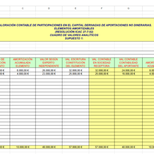VALORACIÓN CONTABLE DE PARTICIPACIONES EN EL CAPITAL DERIVADAS DE APORTACIONES NO DINERARIAS. ELEMENTOS AMORTIZABLES (RESOLUCIÓN ICAC 27-7-92)